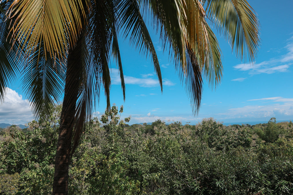 Premium Bungalow with A/C (April 22-28, 2026)