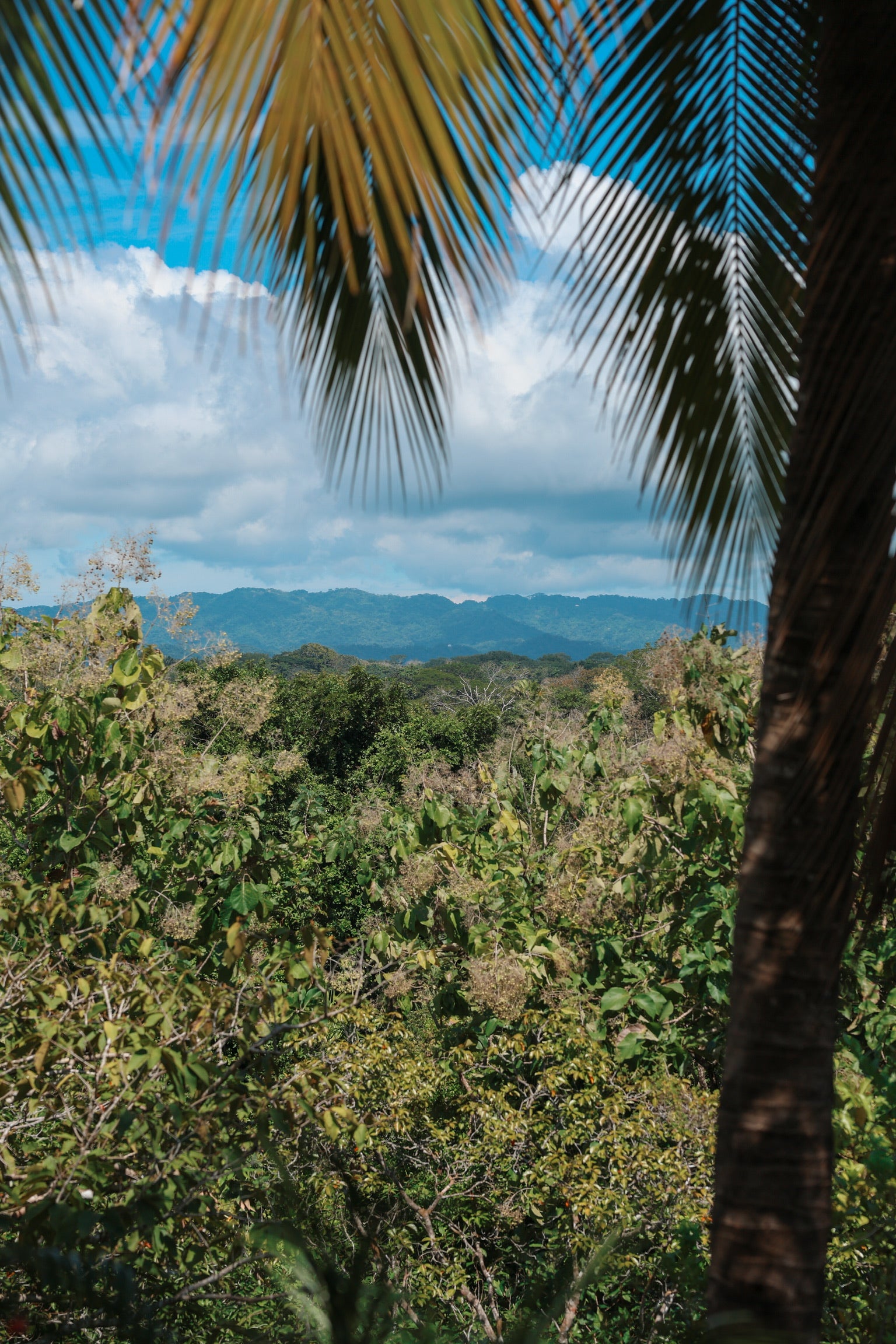 Premium Bungalow with A/C (April 22-28, 2026)